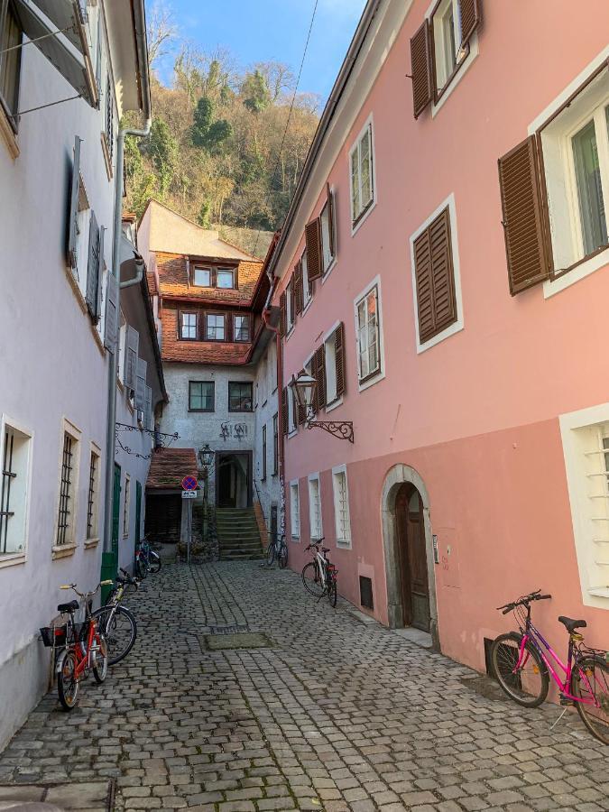 Charming 45M2 Apartment In Heart Of Graz Ngoại thất bức ảnh